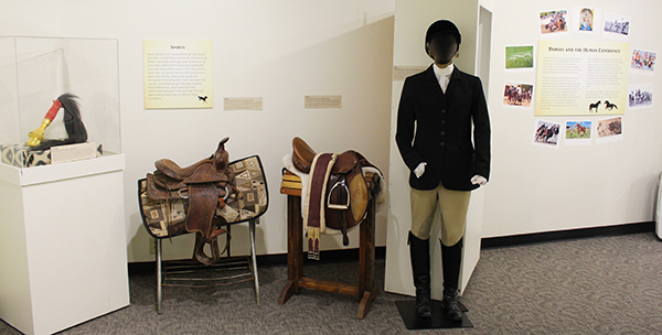 Horses and the Human Experience exhibit