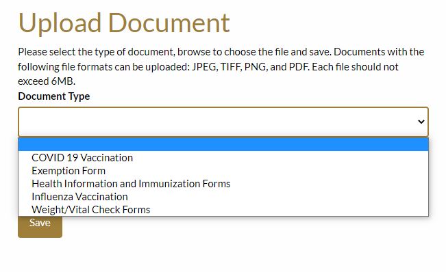 screenshot of portal upload options