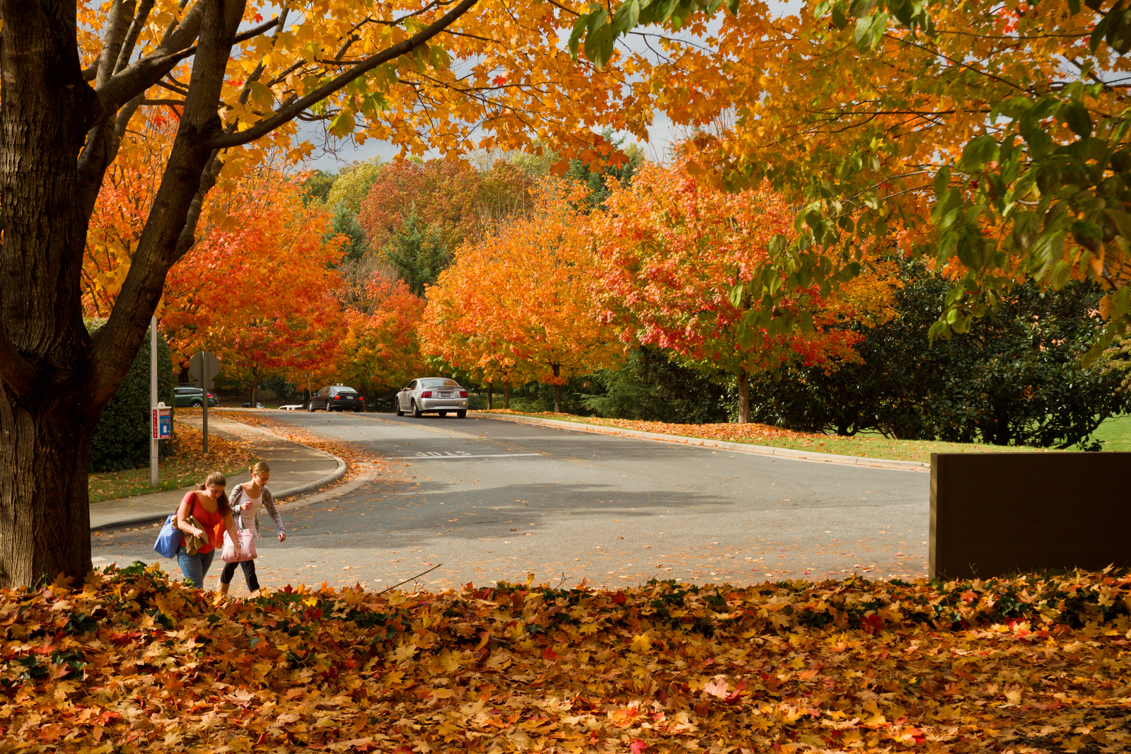 fall street